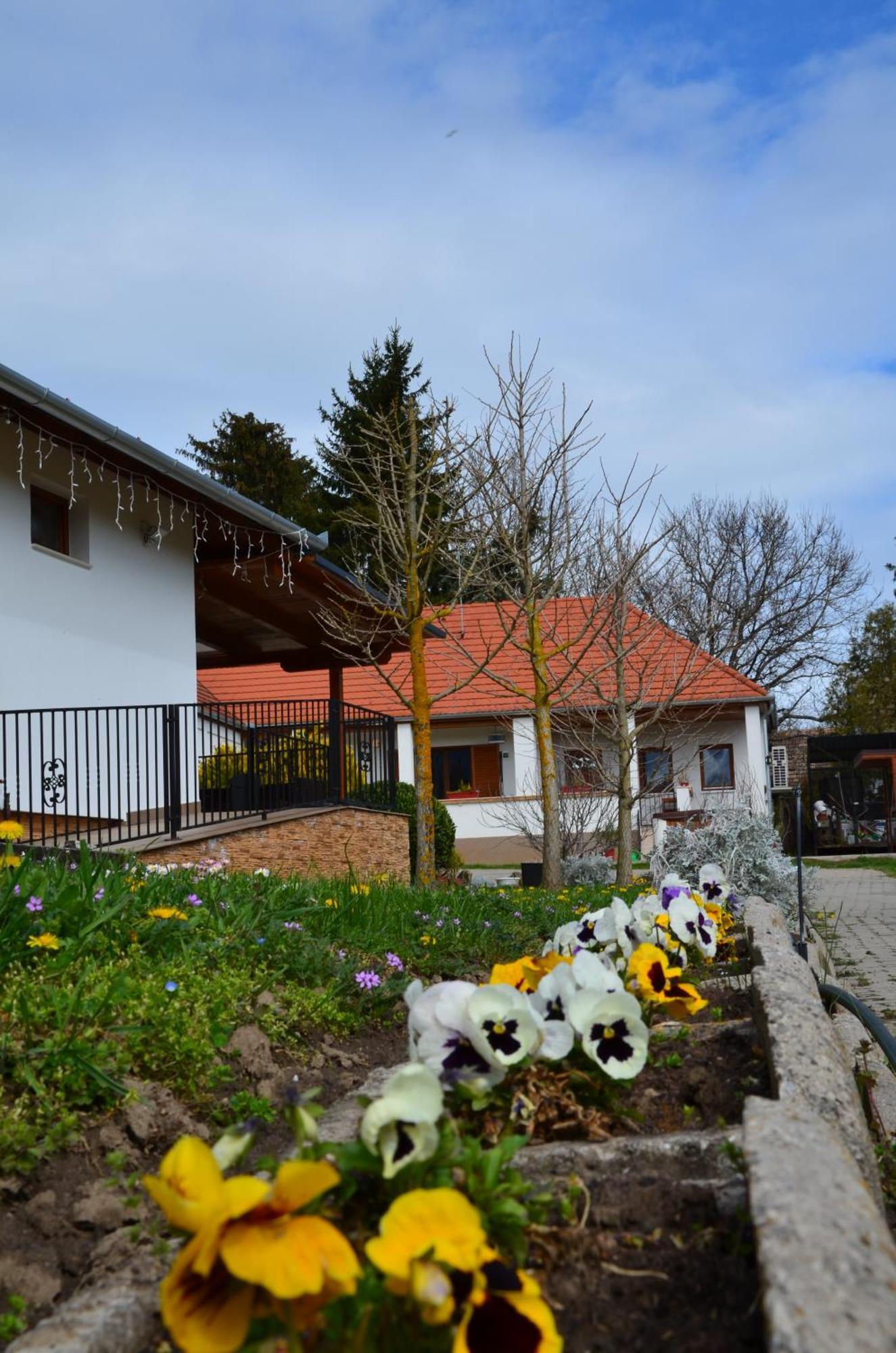 Kerekerdo Vendeghaz Hotel Kisszékely Exterior photo
